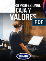 Curso Práctico de Cajero Profesional Caja y Valores