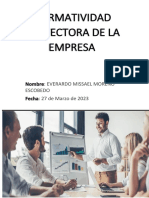 Normatividad de La Empresa