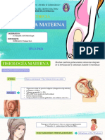 Obstetricia: Fisiología Materna