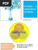 Vetores e Cinemática Vetorial