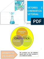 Vetores e Cinemática Vetorial