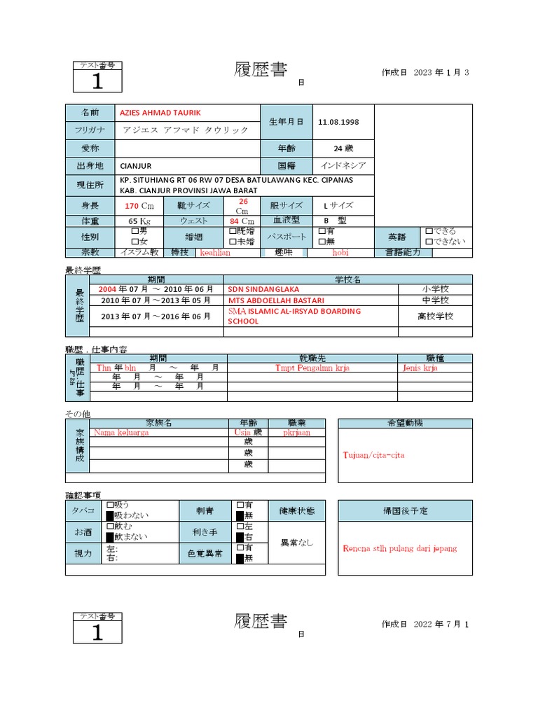 CV Jepang PDF