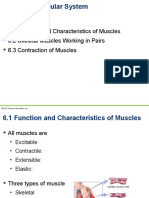 6.1 Function and Characteristics of Muscles 6.2 Skeletal Muscles Working in Pairs 6.3 Contraction of Muscles
