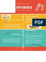 Lípidos - Infografía (Масти и Липиди)