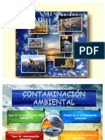 diapositivacontaminacionambiental-090512170559-phpapp02