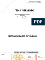 Sistema Nervioso: Facultad de Ciencias de La Vida Departamento de Ciencias Biológicas