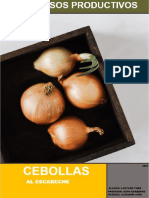 Cebollas Al Escabeche