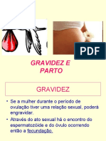 Gravidez, desenvolvimento fetal e tipos de parto