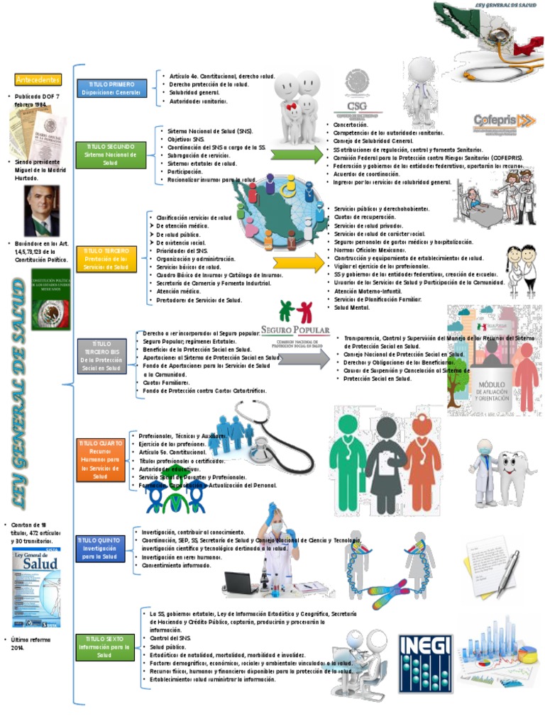 MAPA MENTAL LEY GENERAL DE SALUD Enero 1 | PDF | Cuidado de la salud ...
