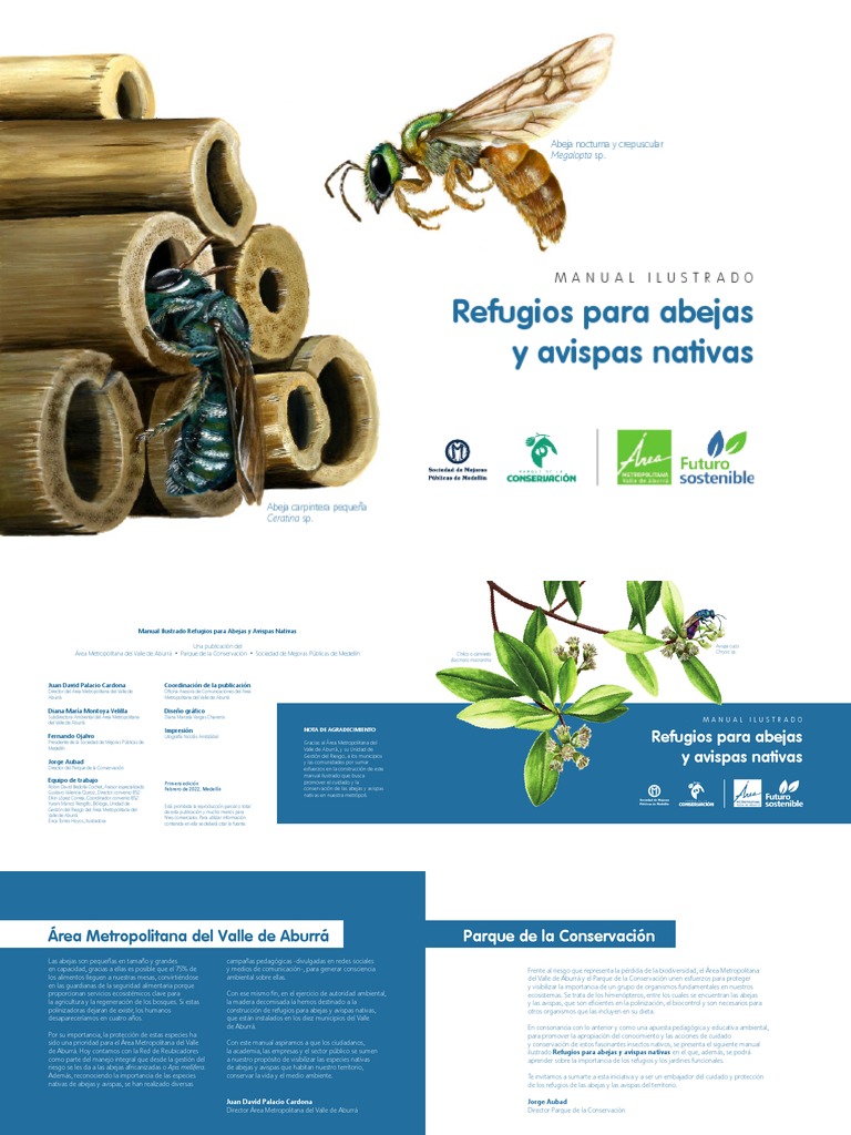 Refugios para Abejas y Avispas Nativas | PDF | Abejas | Insectos