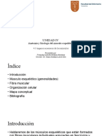 Unidad Iv: Anatomía y Fisiología Del Musculo Esquelético