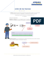 Accion de Las Fuerzas