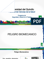 Peligro Biomecanico