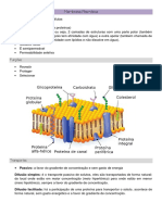 Membrana Plasmática