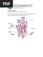Suporte Emergencial à Vida