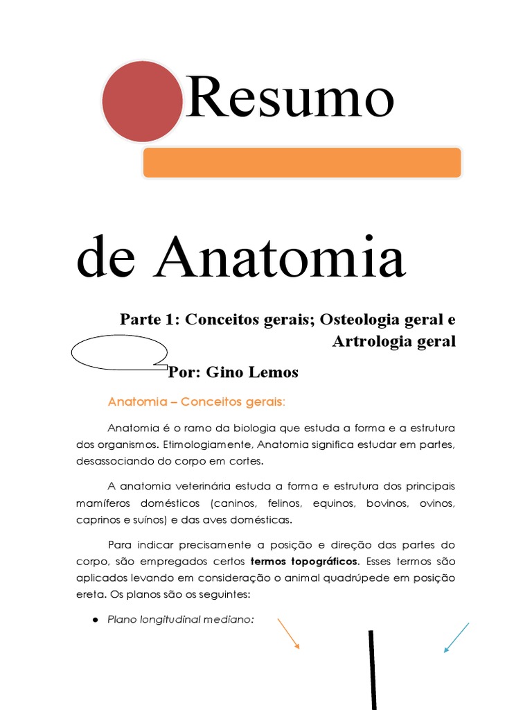 Resumo De Anatomia Parte 1 Word 97 Pdf Osso Medula óssea