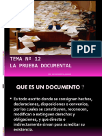 Tema #12 La Prueba Documental: Dra. Matildequiroga Aragon