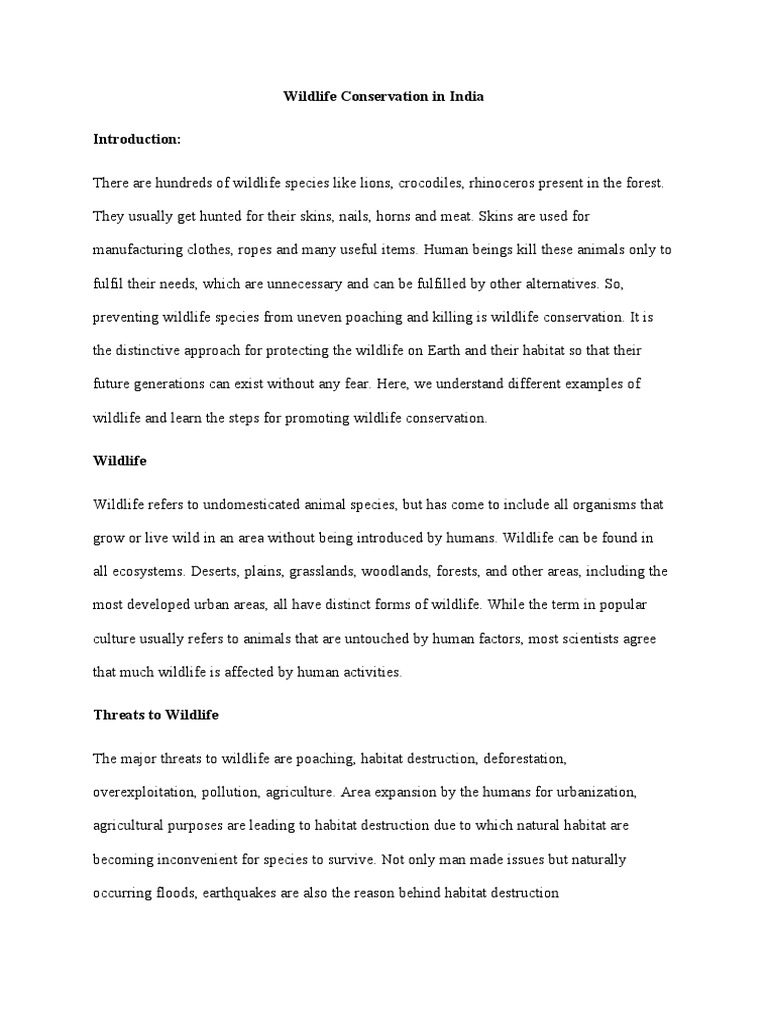 Wildlife visual data 2