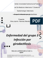 Enfermedad Grupo 3