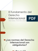 Fundamento Del DIPu