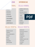 Unidad 3. Actividad 2. Semejanzas y Diferencias (Biologia)