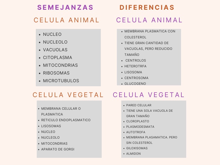 unidad-3-actividad-2-semejanzas-y-diferencias-biologia-pdf