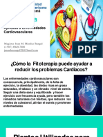 Fitoterapia: Aplicada A Enfermedades Cardiovasculares