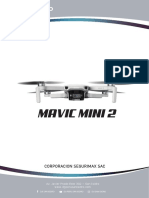 Mavic Mini 2: San Isidro