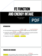 Life Function: and Energy Intake