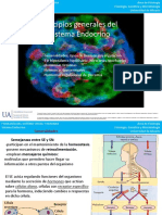 Ud3 FSVH: Sist Endocrino