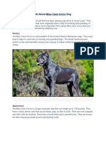 All About Blue Cane Corso Dog: History