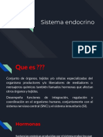 Sistema Endocrino