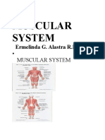 Muscular System - Reviewer