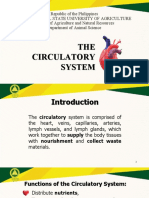 Circulatory System Anatomy and Functions