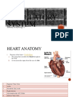 THE Circulatory System: Anatomy & Physiology 12
