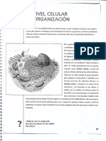 Biologia Documento 2