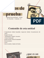 Presentacion Medios de Prueba