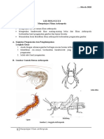 LKS Arthropoda