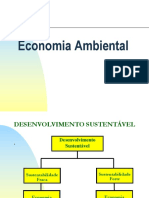 Aula 6 Economia Ambiental EE 2020