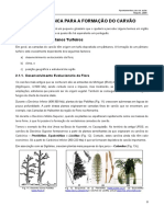 GeolCV - 02-Base Geologica