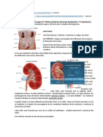 Documento PDF