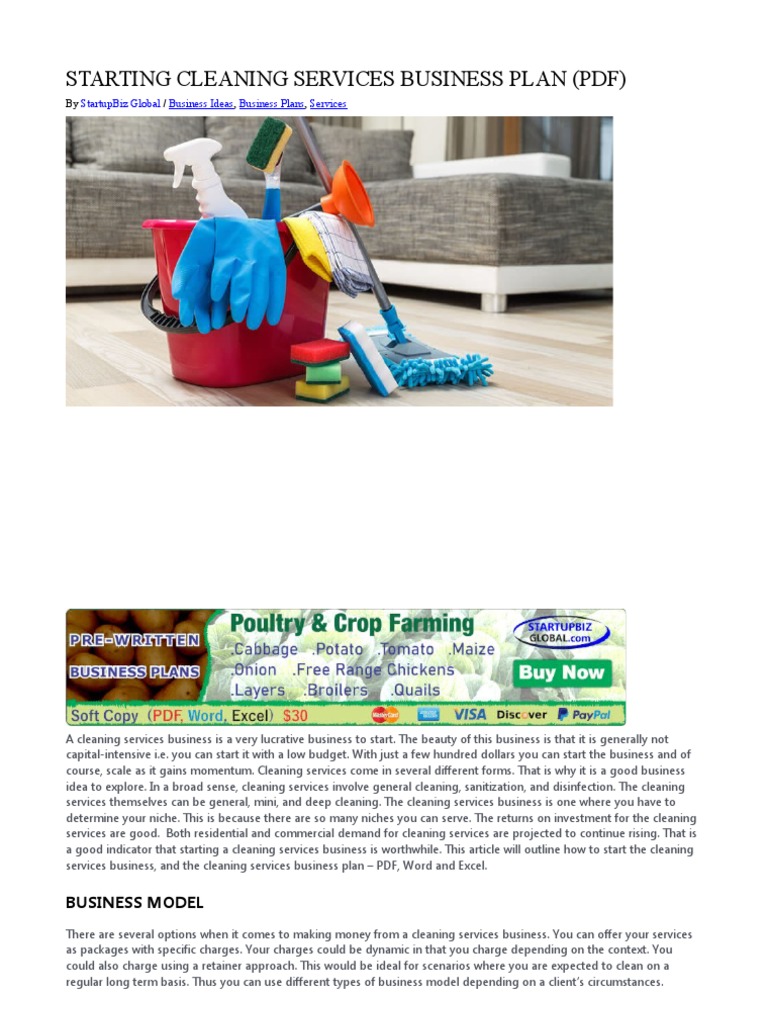 starting-cleaning-services-business-plan-pdf-pdf-business-plan