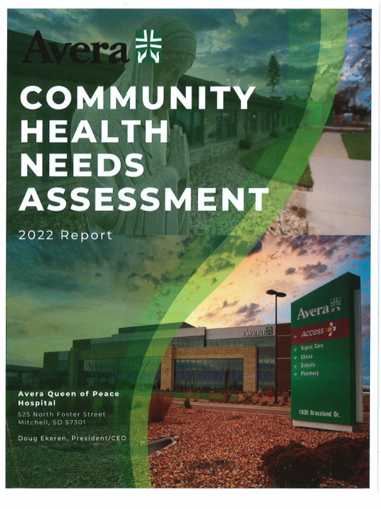 Community Health Needs Assessment - Avera | PDF