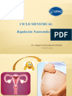 Ciclo Menstrual: Regulación Neuroendocrina
