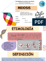 Meiosis-Grupo 01