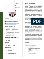 CV Documentado