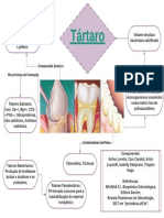 Composição e formação do tártaro dental
