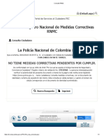 Sistema Registro Nacional de Medidas Correctivas RNMC