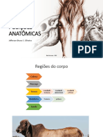 EIXOS E POSIÇÕES ANATÔMICAS (1)