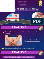 Emergencias Urologicas